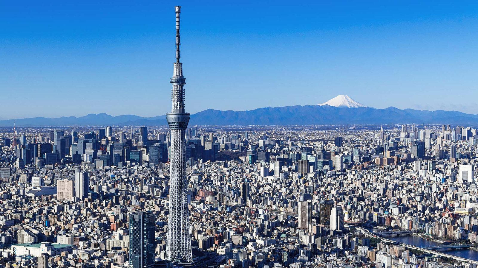 Tokyo Skytree: Lightning Magnet Conspiracy